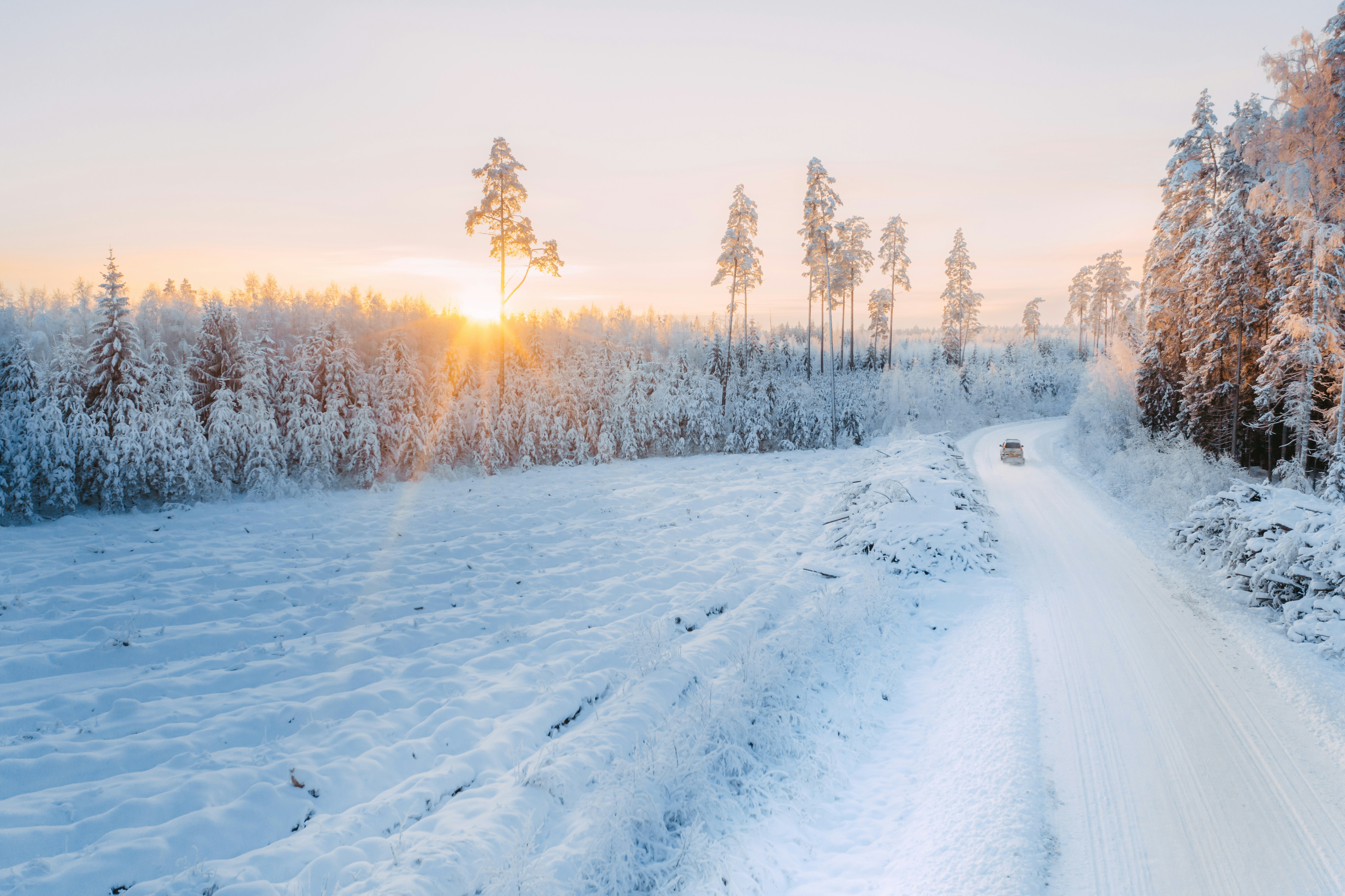 카드 상하 배치